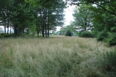 IMG_6932-400x300