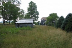 IMG_6934-400x300