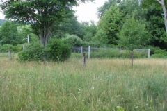 IMG_6936-400x300