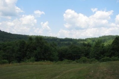 IMG_6947-400x300