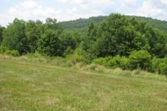 IMG_6982-400x300