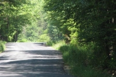 IMG_6998-400x300
