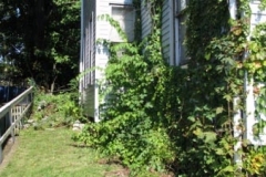 IMG_8127-400x225