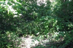 IMG_8128-400x225
