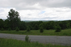 IMG_9098-400x300