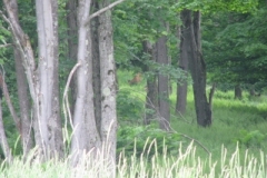 IMG_9099-400x300