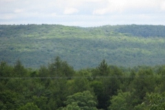 IMG_9139-400x300