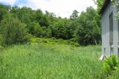 IMG_9156-400x300