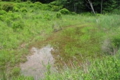 IMG_9157-400x300