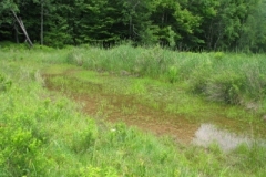 IMG_9158-400x300