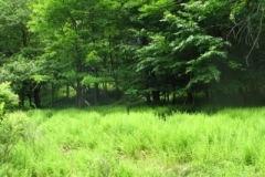 IMG_9162-400x300