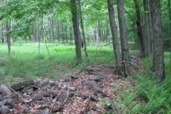 IMG_9175-400x300