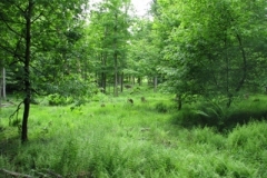 IMG_9179-400x300