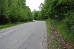 IMG_9254-400x300