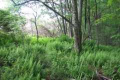 IMG_9257-400x300