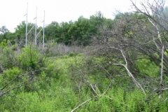 IMG_9261-400x300