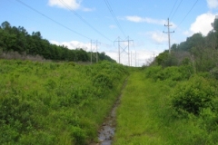 IMG_9262-400x300