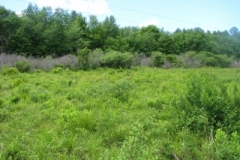 IMG_9263-400x300