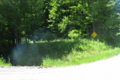 IMG_9272-400x300