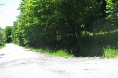 IMG_9273-400x300