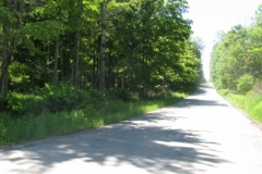 IMG_9274-400x300