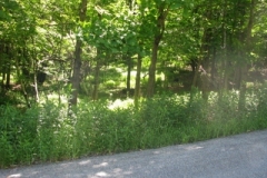 IMG_9276-400x300