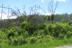 IMG_9277-400x300