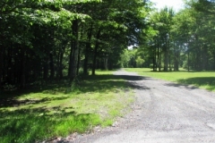 IMG_9281-400x300