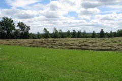 IMG_9553-400x300
