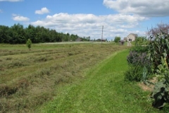 IMG_9557-400x300