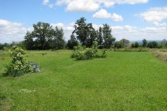 IMG_9560-400x300