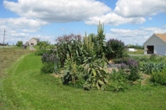 IMG_9561-400x300