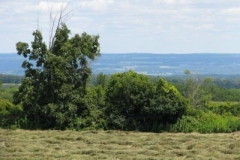 IMG_9573-400x300