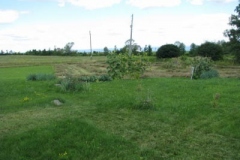 IMG_9584-400x300