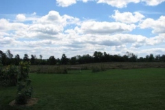 IMG_9585-400x300