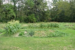IMG_9922-400x300