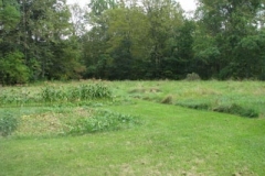 IMG_9924-400x300