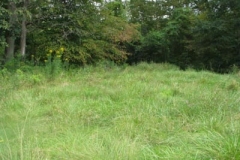IMG_9925-400x300