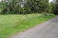 IMG_9931-400x300