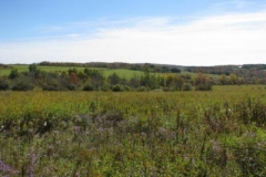 IMG_0452-400x300