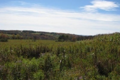 IMG_0453-400x300