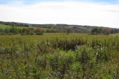 IMG_0454-400x300