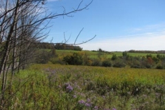 IMG_0455-400x300