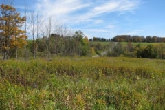 IMG_0456-400x300