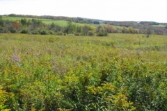 IMG_0457-400x300