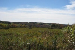 IMG_0459-400x300