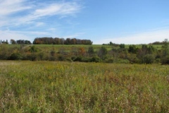 IMG_0460-400x300