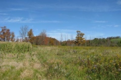 IMG_0461-400x300