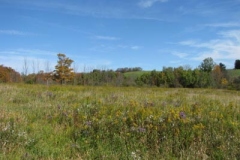 IMG_0462-400x300