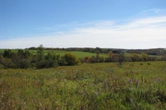 IMG_0463-400x300